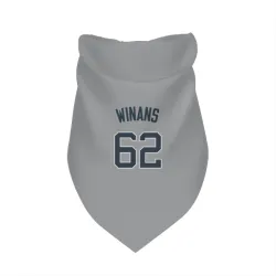 New York Yankees Allan Winans Gray Pet Bandana for Dog & Cat