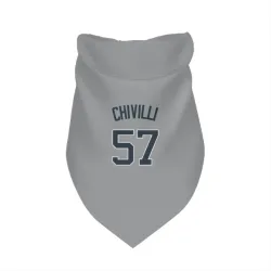 New York Yankees Angel Chivilli Gray Pet Bandana for Dog & Cat
