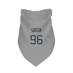 New York Yankees Austin Green Gray Pet Bandana for Dog & Cat