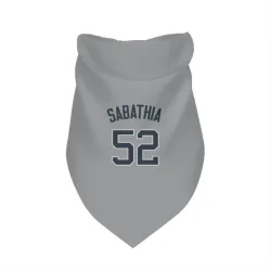 New York Yankees CC Sabathia Gray Pet Bandana for Dog & Cat