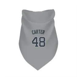New York Yankees Chris Carter Gray Pet Bandana for Dog & Cat