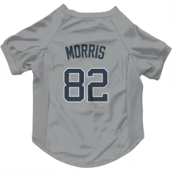 New York Yankees Cody Morris Gray Pet Jersey for Dog & Cat