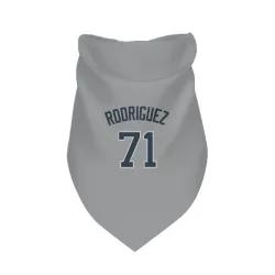 New York Yankees Elmer Rodriguez Gray Pet Bandana for Dog & Cat