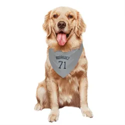 New York Yankees Elmer Rodriguez Gray Pet Bandana for Dog & Cat