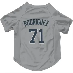 New York Yankees Elmer Rodriguez Gray Pet Jersey for Dog & Cat