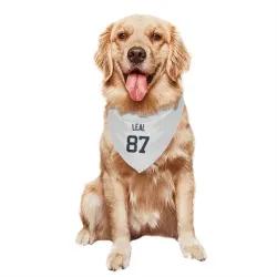 New York Yankees Erick Leal White Pet Bandana for Dog & Cat