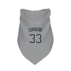 New York Yankees Franchy Cordero Gray Pet Bandana for Dog & Cat