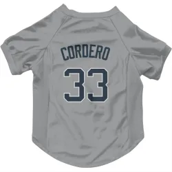 New York Yankees Franchy Cordero Gray Pet Jersey for Dog & Cat