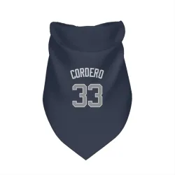 New York Yankees Franchy Cordero Navy Pet Bandana for Dog & Cat