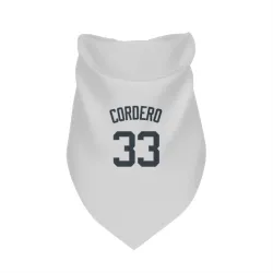 New York Yankees Franchy Cordero White Pet Bandana for Dog & Cat