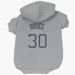 New York Yankees Jay Bruce Gray Pet Hoodie for Dog & Cat