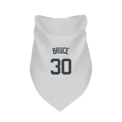 New York Yankees Jay Bruce White Pet Bandana for Dog & Cat