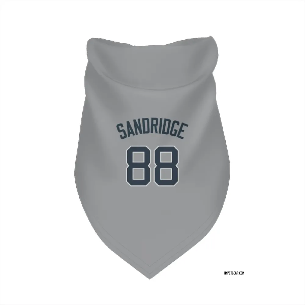 New York Yankees Jayvien Sandridge Gray Pet Bandana for Dog & Cat