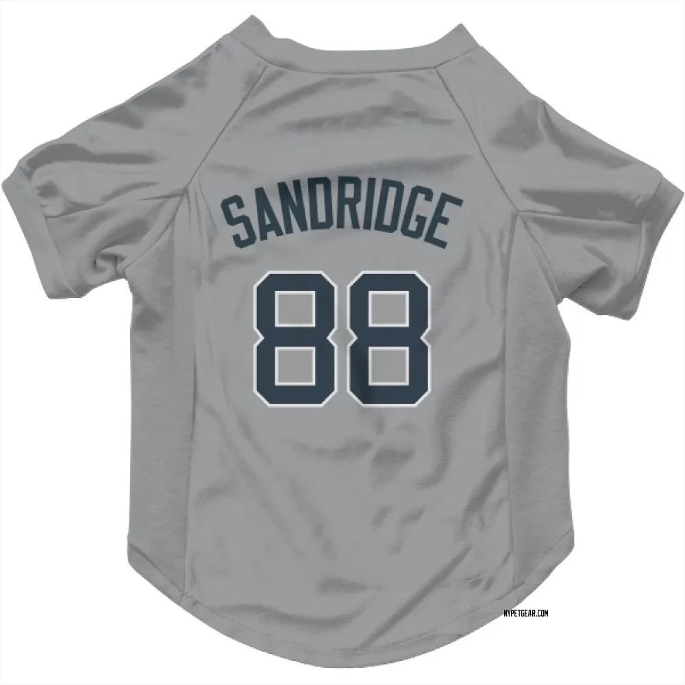 New York Yankees Jayvien Sandridge Gray Pet Jersey for Dog & Cat