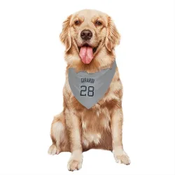 New York Yankees Joe Girardi Gray Pet Bandana for Dog & Cat