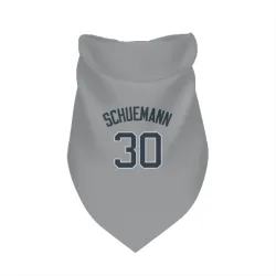 New York Yankees Max Schuemann Gray Pet Bandana for Dog & Cat