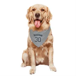 New York Yankees Max Schuemann Gray Pet Bandana for Dog & Cat