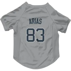 New York Yankees Michael Arias Gray Pet Jersey for Dog & Cat