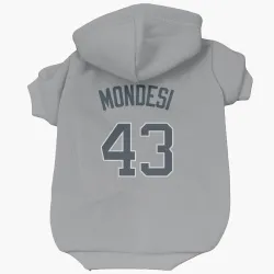 New York Yankees Raul Mondesi Gray Pet Hoodie for Dog & Cat