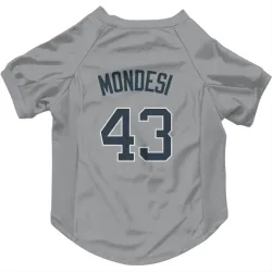 New York Yankees Raul Mondesi Gray Pet Jersey for Dog & Cat