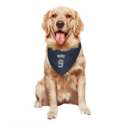 New York Yankees Roger Maris Navy Pet Bandana for Dog & Cat