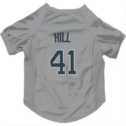 New York Yankees Tim Hill Gray Pet Jersey for Dog & Cat